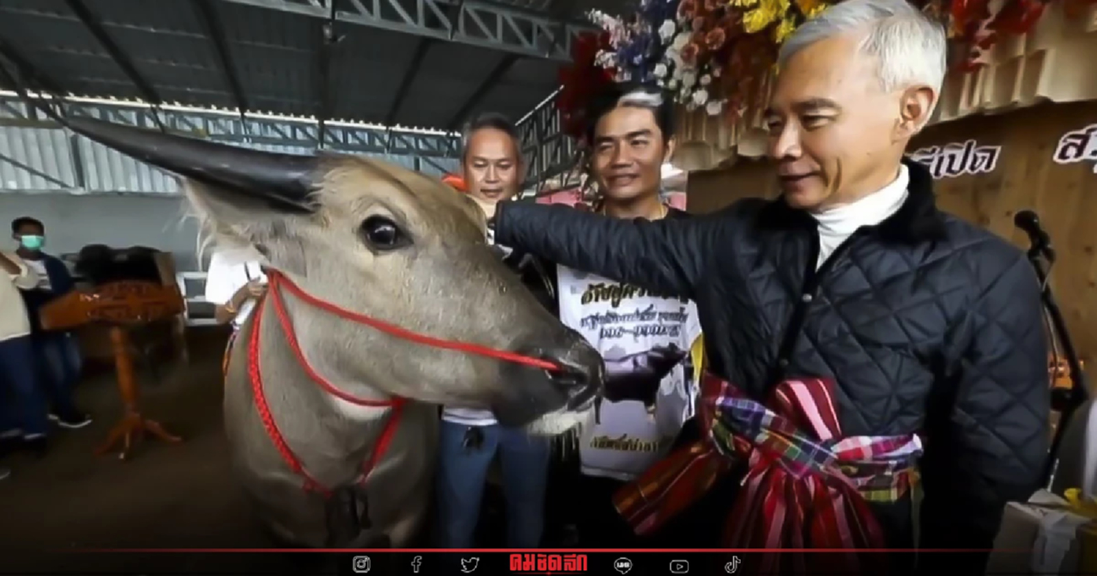 "ประธานพรรคชาติพัฒนา" สู่ขอ "ควาย" เกือบสี่ล้าน