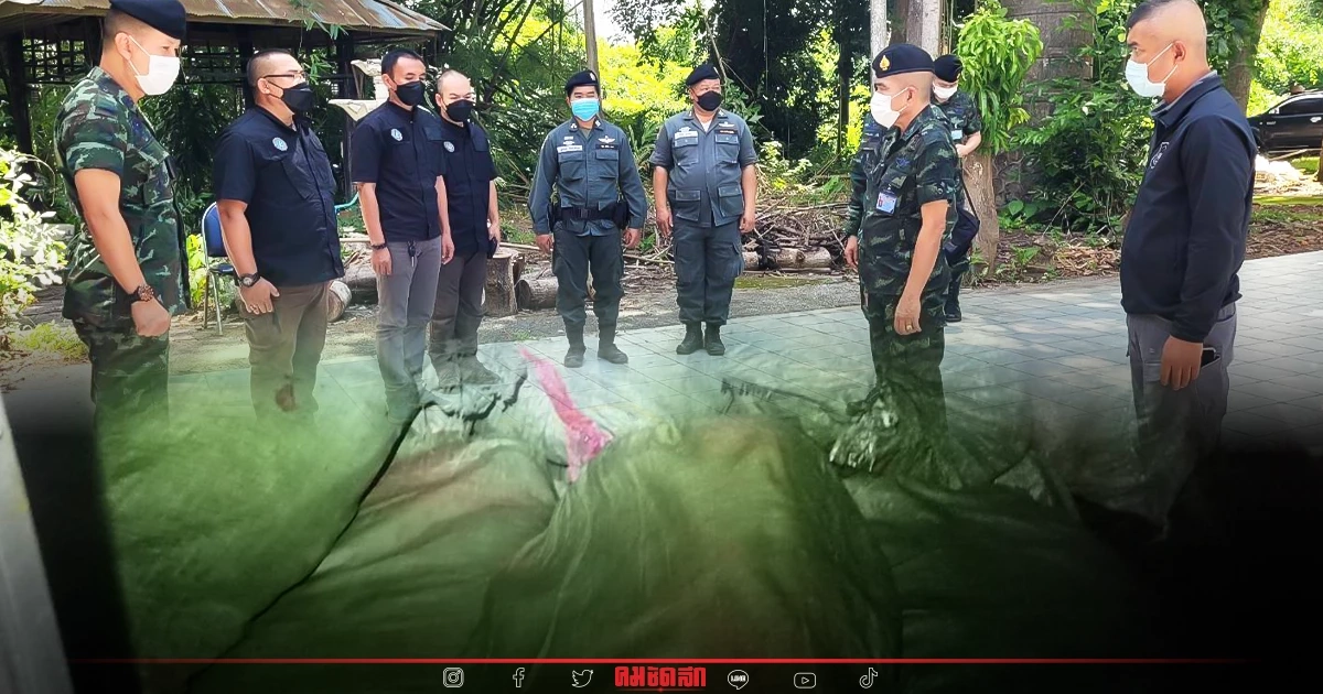 "ปส." ทลาย 2 ขบวนการค้า"ยาเสพติด" รายใหญ่ ยึด ยาบ้ารวม 7 ล้านเม็ด "ปส." ทลาย 2 ขบวนการค้า"ยาเสพติด" รายใหญ่ ยึด ยาบ้ารวม 7 ล้านเม็ด