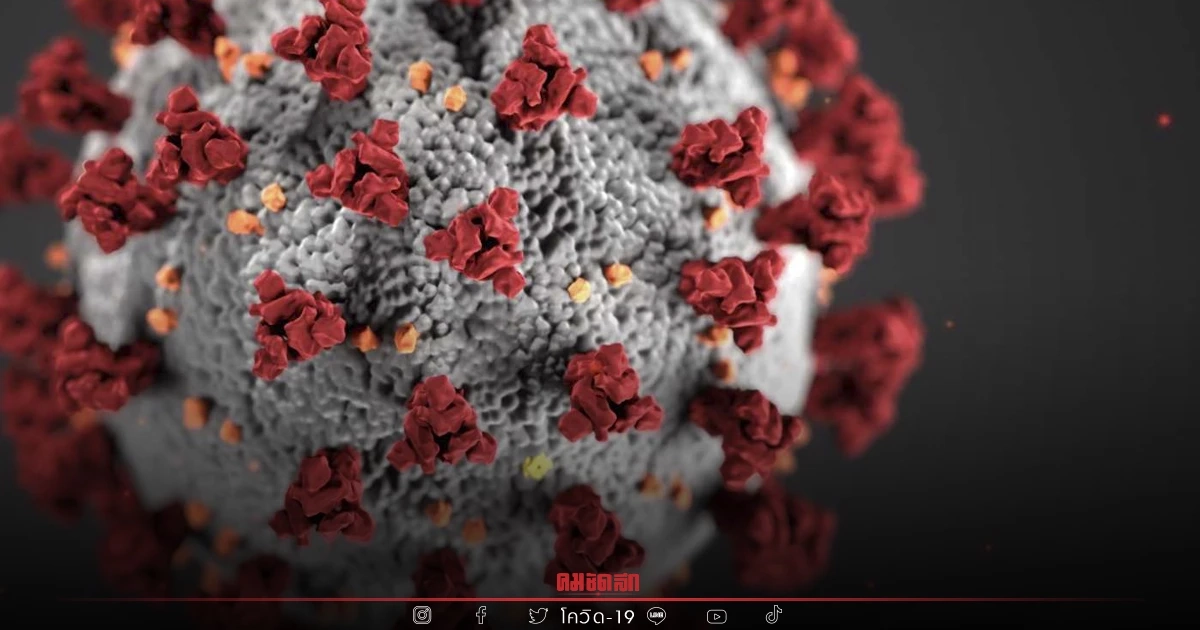 "โควิดระลอกใหม่" วันนี้ ติดเชื้อ 1,902 ราย เสียชีวิต 29 ราย หายป่วย 1,986 ราย