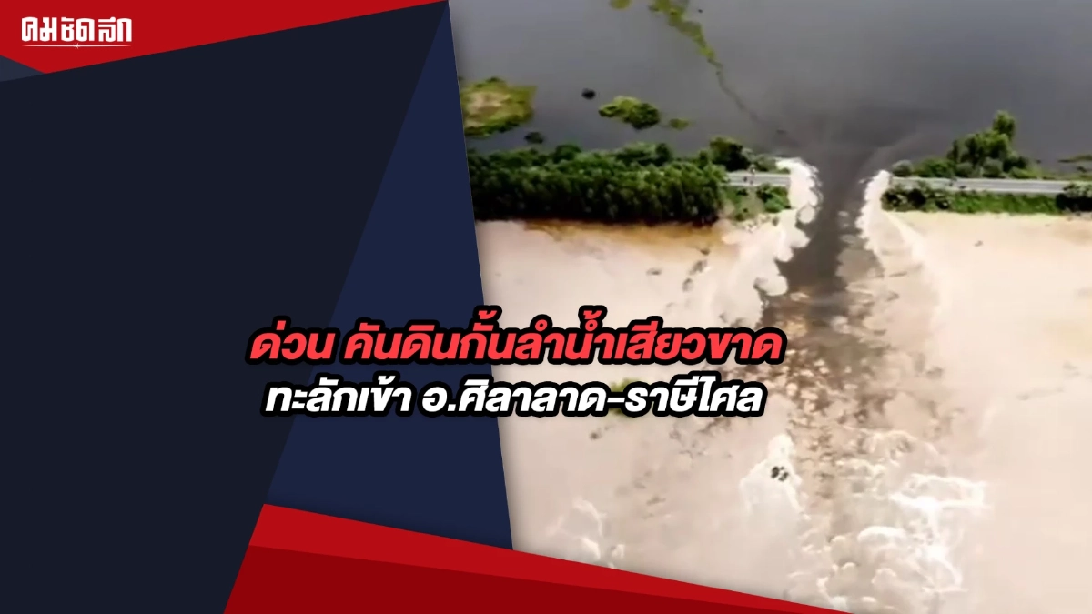 (คลิป) คันดินกั้นลำน้ำเสียวขาดแล้ว ปิดทางสัญจร อ.ศิลาลาด-ราษีไศล (คลิป) คันดินกั้นลำน้ำเสียวขาดแล้ว ปิดทางสัญจร อ.ศิลาลาด-ราษีไศล
