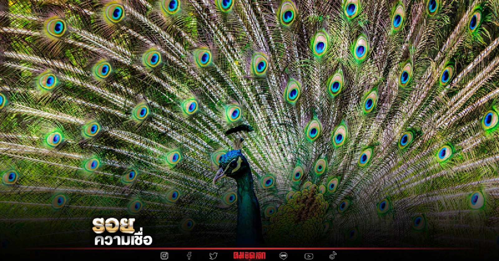 .รู้จัก โมรปริตร คาถาสำคัญ พุทธคุณ ป้องกันภัย.