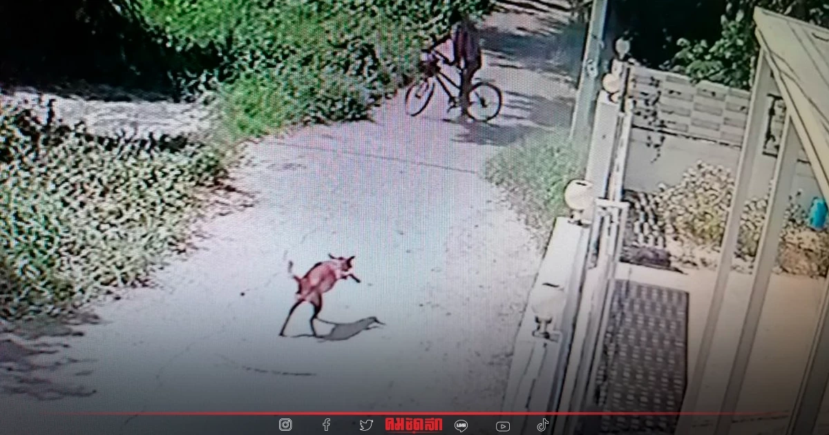 ไม่ขอทน "หมา" โดนปั่นจักรยานมายิงถึงหน้าบ้าน เจ้าของร้องตำรวจ ล่าตัวคนร้าย