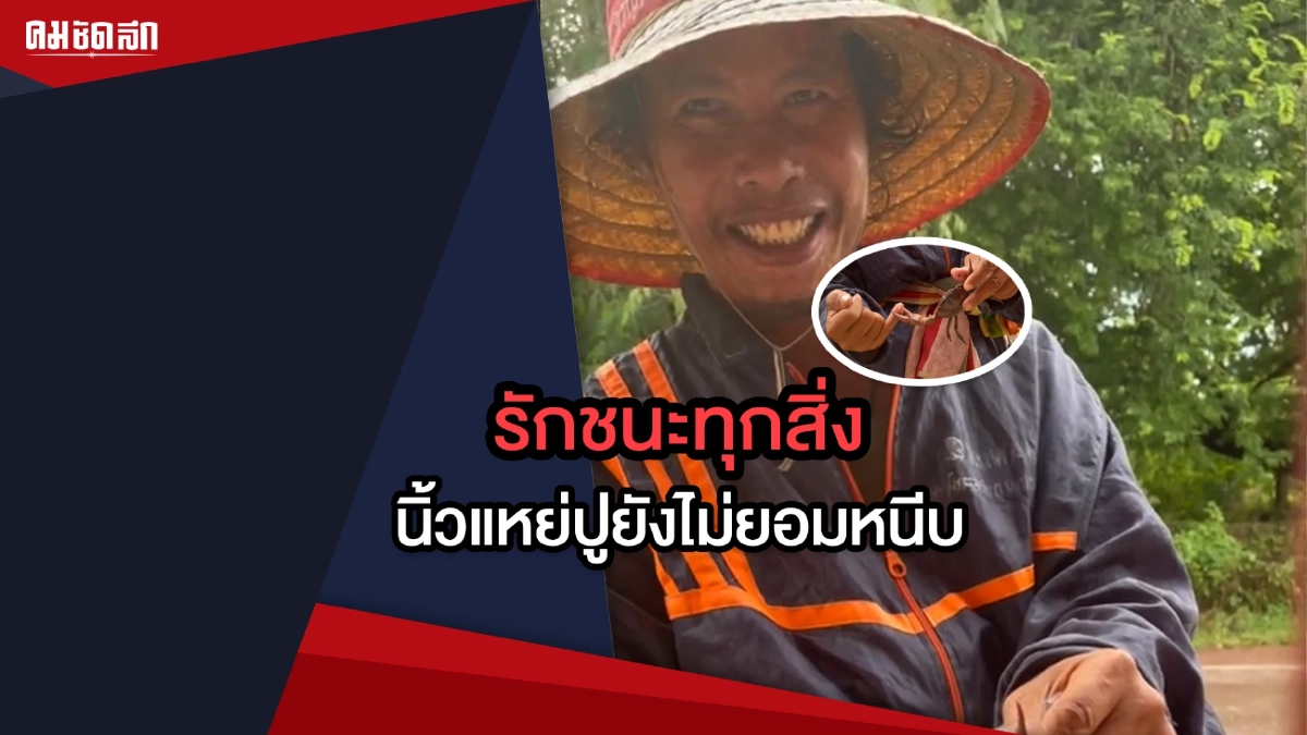 (คลิป) รักชนะทุกสิ่ง นิ้วแหย่ปูยังไม่ยอมหนีบ (คลิป) รักชนะทุกสิ่ง นิ้วแหย่ปูยังไม่ยอมหนีบ