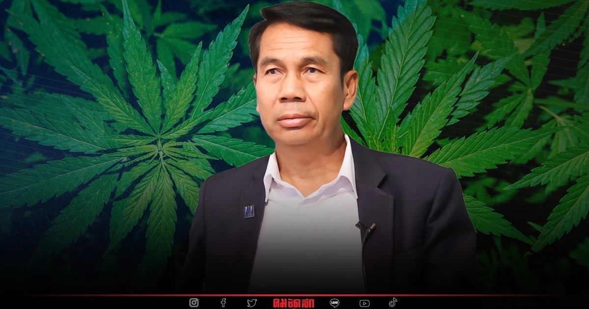 เพื่อไทย รับไม่ได้ ร่างกฎหมาย กัญชา ทำมาเกินหลักการ เพื่อไทย รับไม่ได้ ร่างกฎหมาย กัญชา ทำมาเกินหลักการ