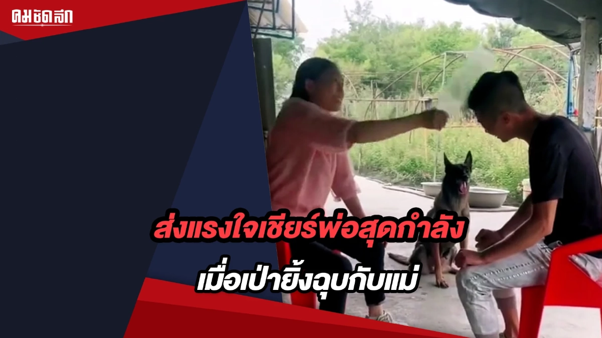 (คลิป) น้องหมา ส่งแรงใจเชียร์พ่อสุดกำลัง เมื่อเล่นเป่ายิ้งฉุบกับแม่