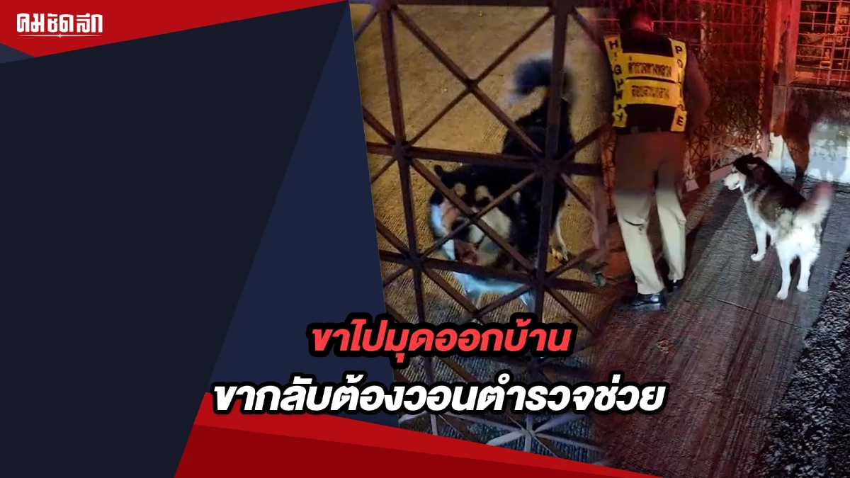 (คลิป) ตำนานไซบีเรียน ขาไปมุดออกบ้าน ขากลับต้องวอนตำรวจช่วย (คลิป) ตำนานไซบีเรียน ขาไปมุดออกบ้าน ขากลับต้องวอนตำรวจช่วย