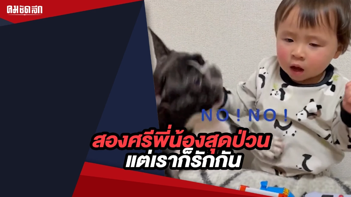 (คลิป) สองศรีพี่น้องสุดป่วนเมื่อมีของเล่น แต่เราก็รักกันนะค้าบ