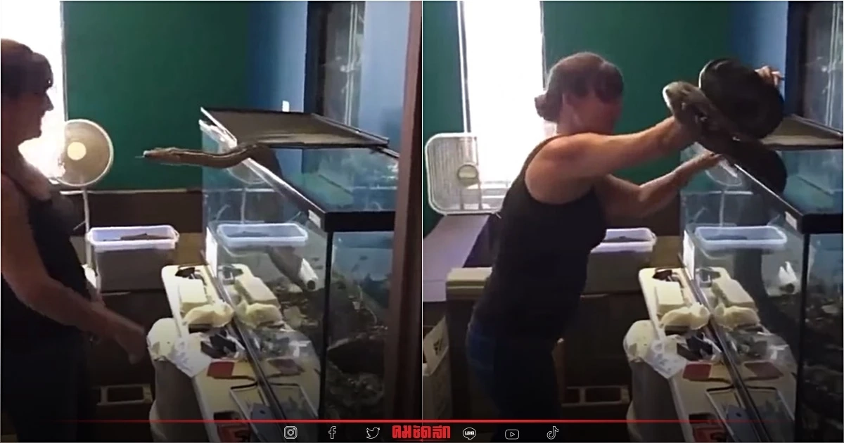 คลิปเก่ากลับมาไวรัล เจ้าของเปิดกรง ไม่คาดคิด “งูที่เลี้ยงไว้” พุ่งรัดแขน