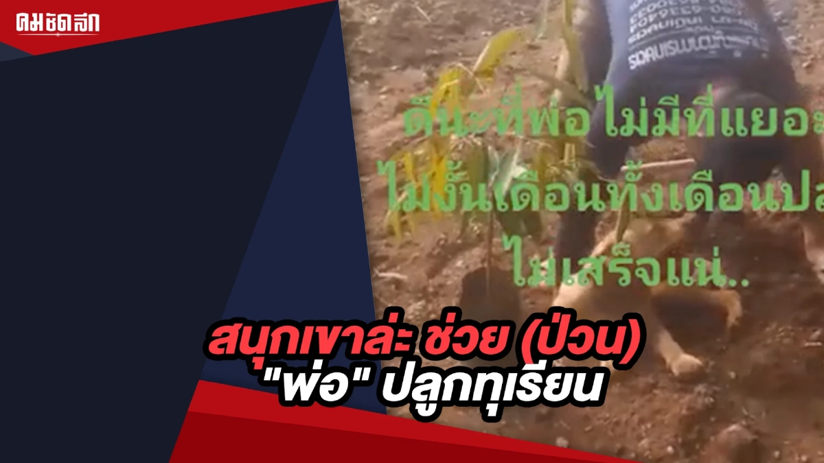 (คลิป) สนุกเขาล่ะ ช่วย (ป่วน) "พ่อ" ปลูกทุเรียน (คลิป) สนุกเขาล่ะ ช่วย (ป่วน) "พ่อ" ปลูกทุเรียน