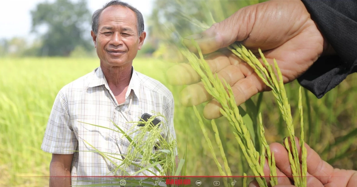 ศูนย์ข้าวชุมชนบ้านหนองลุมพุก สู่ การจำหน่ายเมล็ดพันธุ์ข้าวคุณภาพ