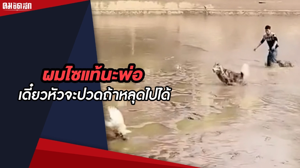 (คลิป) ผมไซแท้นะพ่อ เดี๋ยวหัวจะปวดถ้าหลุดไปได้