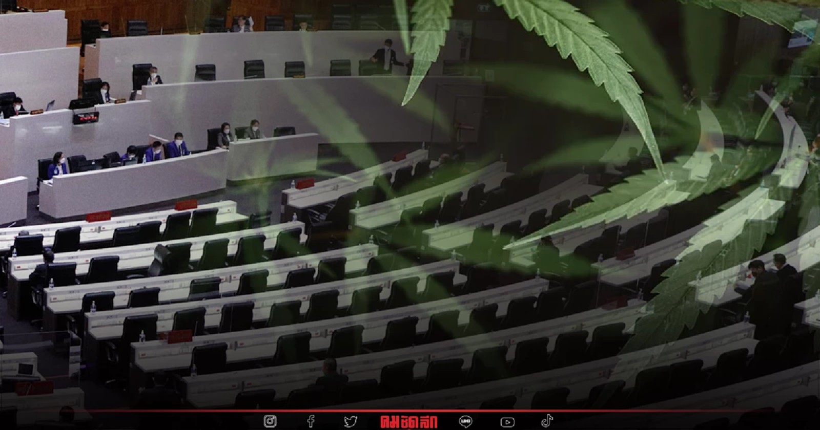 ตีตก'กัญชา-กัญชง'วาระ3 ไม่ถือเป็นยาเสพติด เสียงส่วนมากโหวตให้ตัดออก