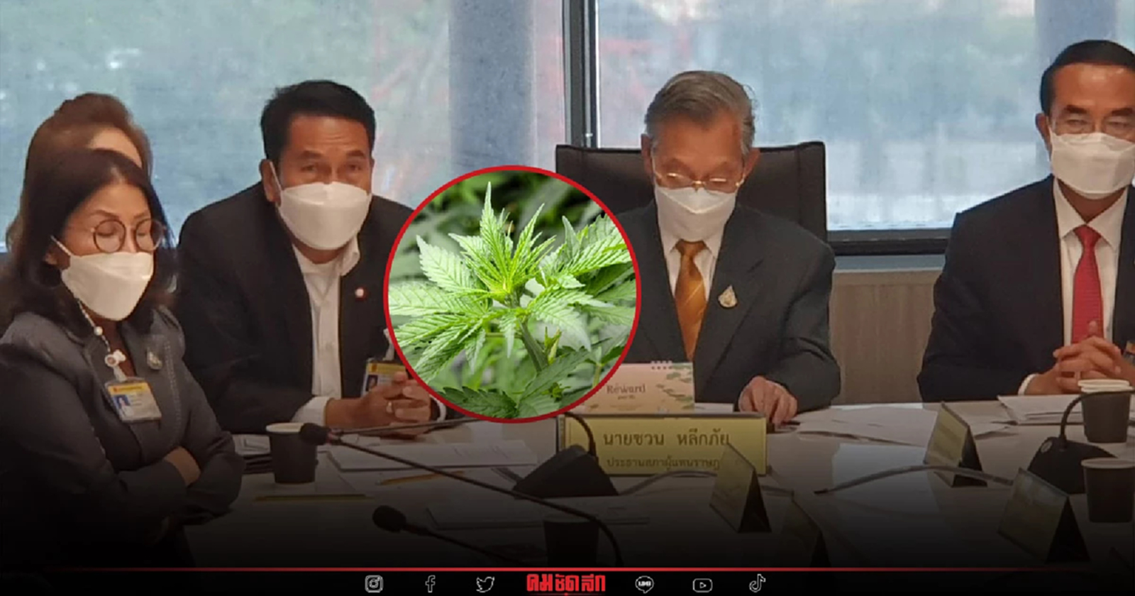 กฎหมาย"กัญชา"ถูกดอง นำกลับพิจารณาปีหน้า หลังองค์ประชุมไม่ครบ