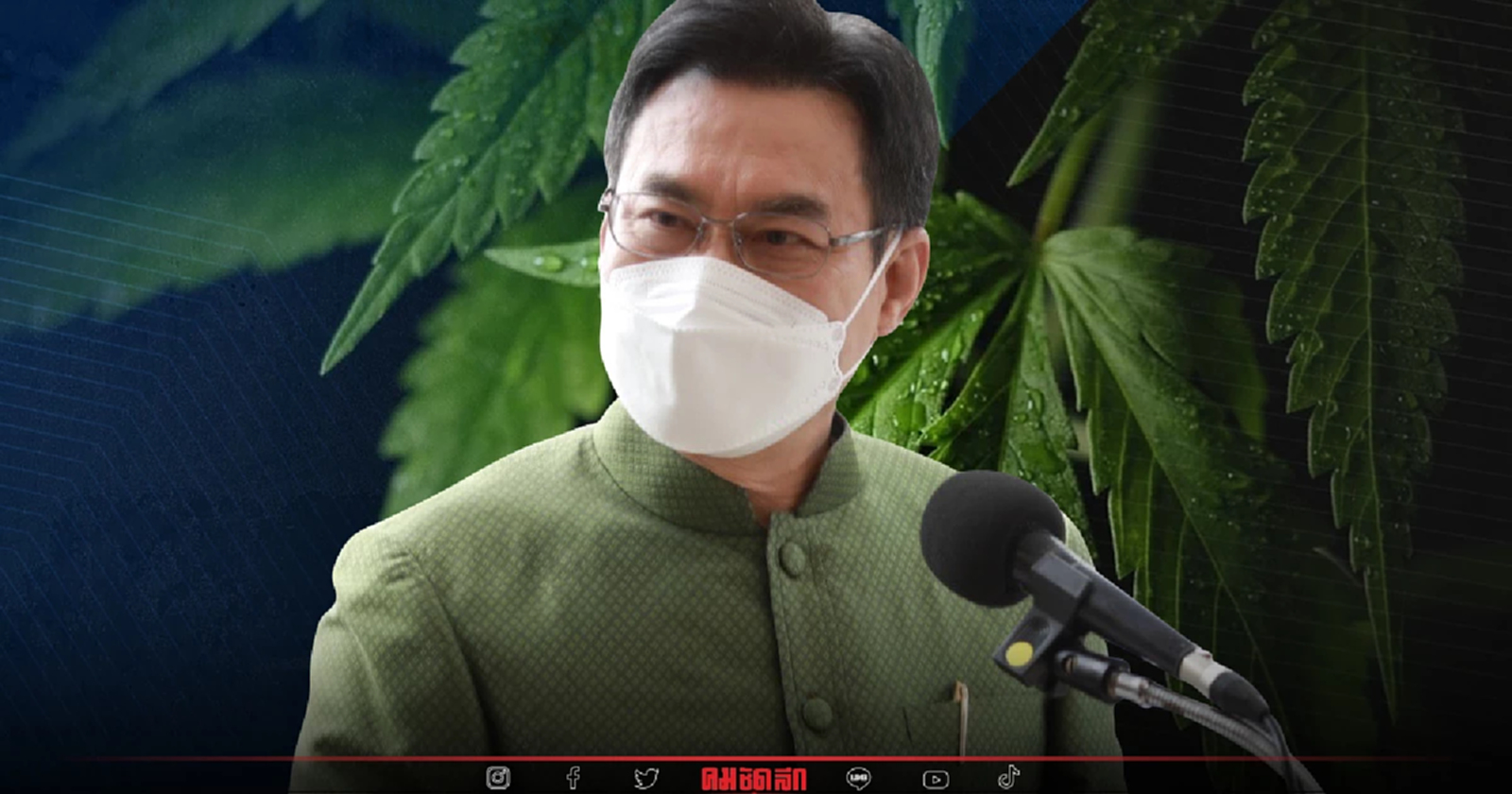 'ประชาธิปัตย์' ย้ำหนุนกัญชาทางการแพทย์เท่านั้น