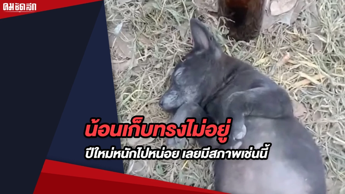 (คลิป) น้องเก็บทรงไม่อยู่ ปีใหม่หนักไปหน่อย เลยมีสภาพเช่นนี้