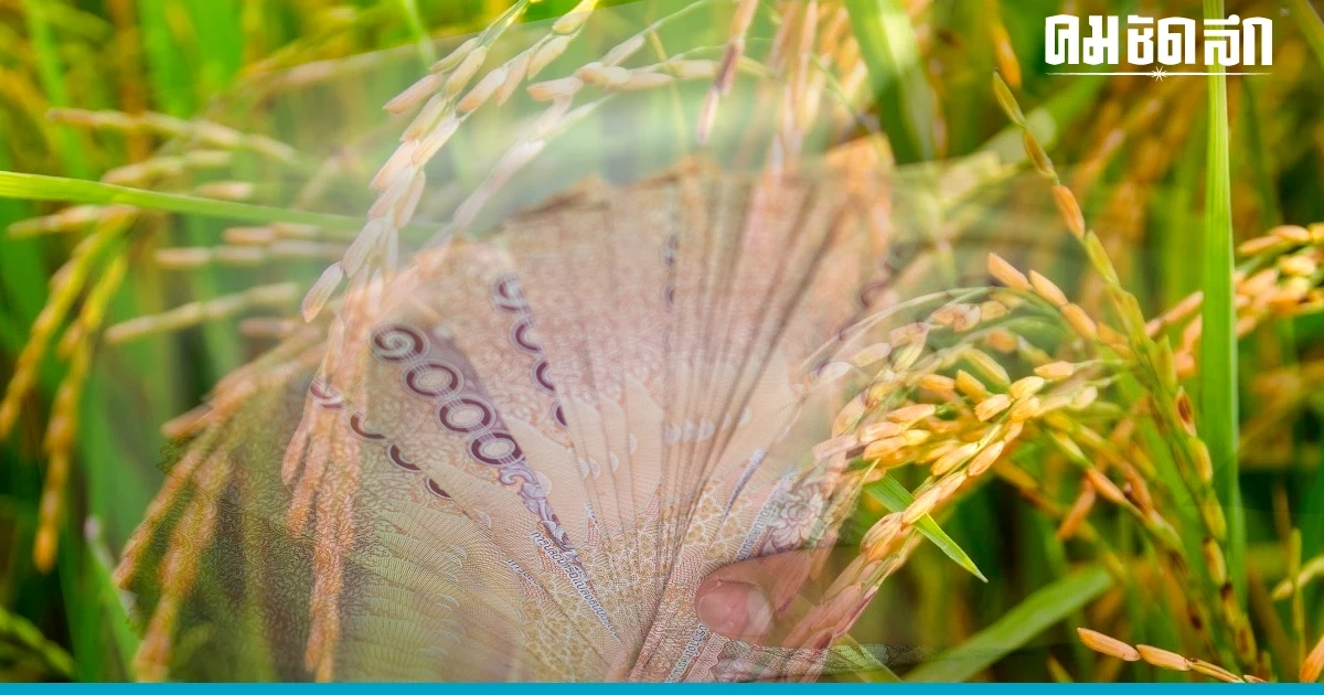 'เช็กเงินประกันข้าว 65/66' ธ.ก.ส. โอนงวด 17 อีกกว่า 19 ล้าน 'เช็กเงินประกันข้าว 65/66' ธ.ก.ส. โอนงวด 17 อีกกว่า 19 ล้าน