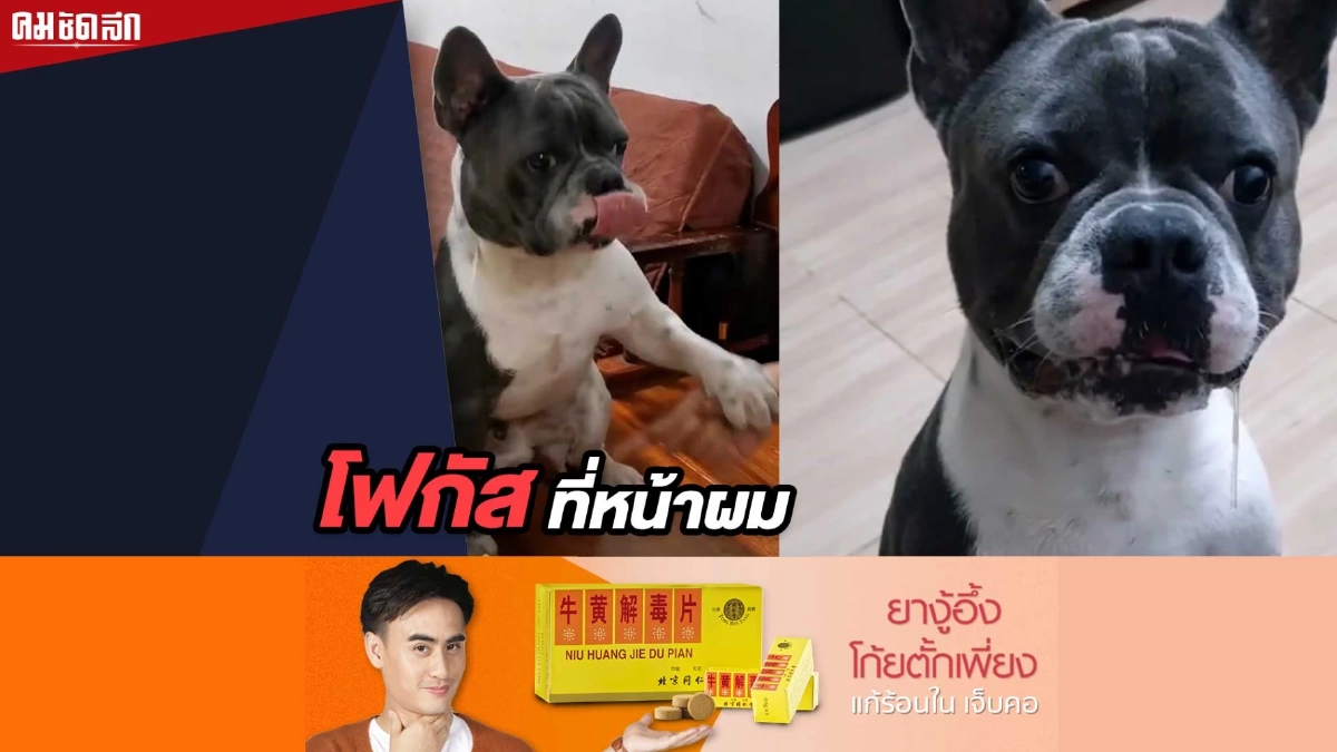(คลิป) โปรด 'โฟกัส' ที่หน้าผม ให้ช้าระวังบ้านเปียกนะค้าบ (คลิป) โปรด 'โฟกัส' ที่หน้าผม ให้ช้าระวังบ้านเปียกนะค้าบ