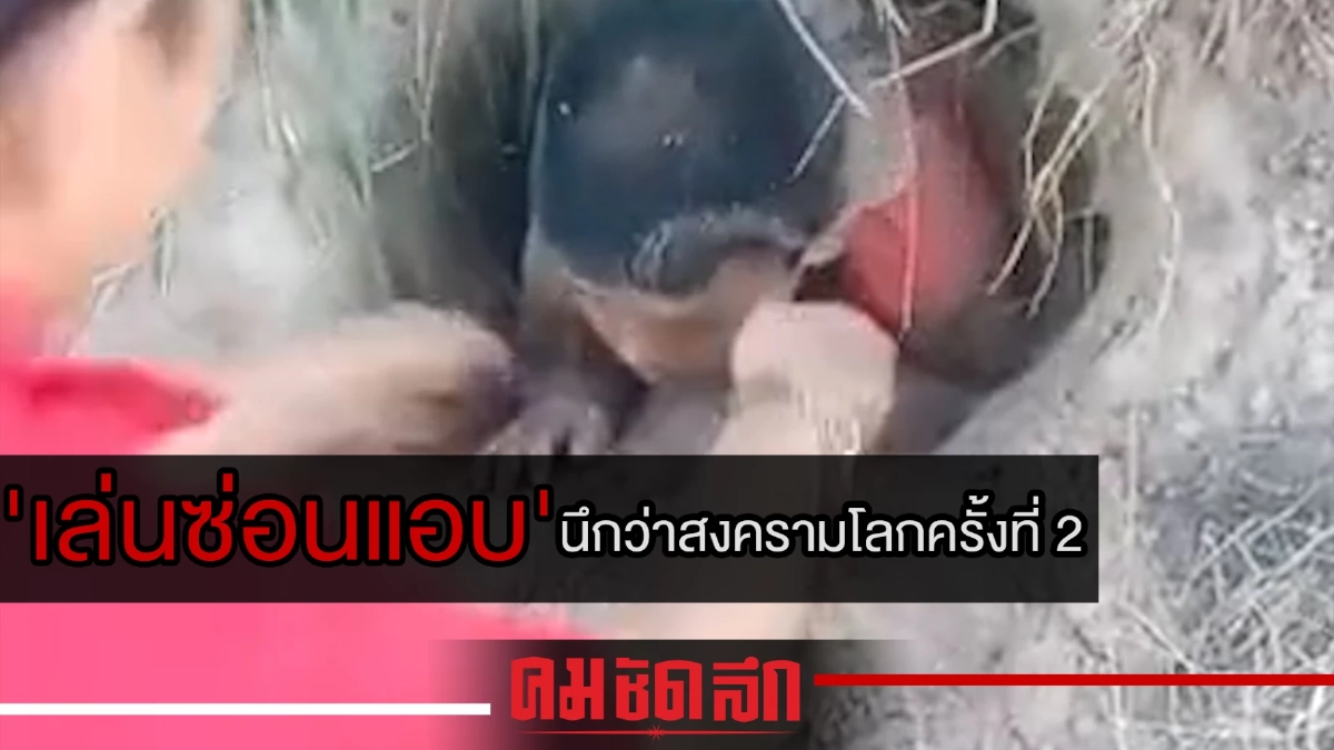 (คลิป) 'เล่นซ่อนแอบ' นึกว่าสงครามโลกครั้งที่สอง (คลิป) 'เล่นซ่อนแอบ' นึกว่าสงครามโลกครั้งที่สอง