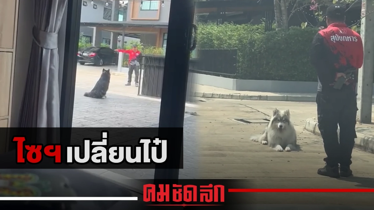(คลิป) แม่ได้แต่ "งง" จากเด็กไม่นิ่ง กลายเป็นเชื่องได้ไง (คลิป) แม่ได้แต่ "งง" จากเด็กไม่นิ่ง กลายเป็นเชื่องได้ไง