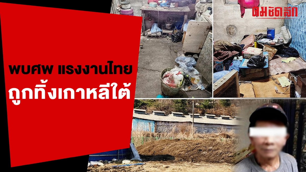 (คลิป) พบศพ แรงงานไทย ถูกทิ้งเชิงเขาเกาหลีใต้