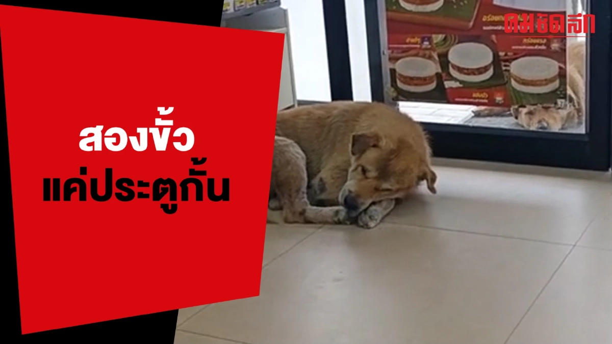 (คลิป) สองขั้วอารมณ์แค่ประตูกั้น แต่นุดรู้ไว้ เราสะดวกแบบนี้
