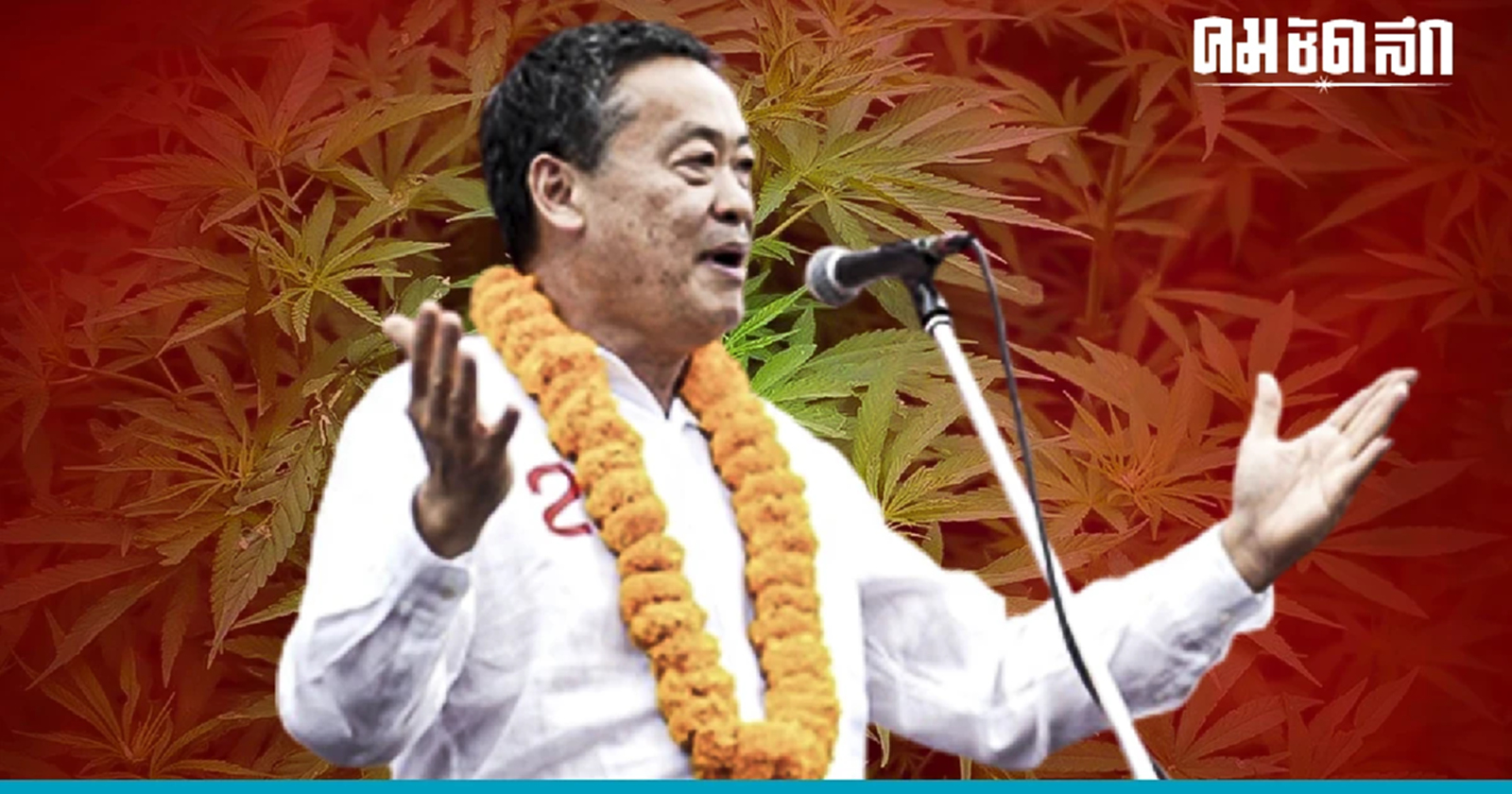 'เพื่อไทย' ไม่เอา 'กัญชาเสรี' เด็ดขาด หลัง 'อนุทิน' ตั้งเงื่อนไขร่วมรัฐบาล