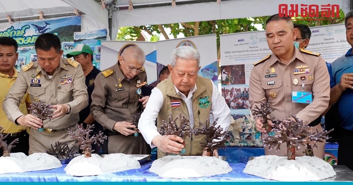 รวมใจร่วมวางปะการังเทียมเฉลิมพระเกียรติฯ เกาะแสมสาร สร้างระบบนิเวศทางทะเลอย่างยั่งยืน รวมใจร่วมวางปะการังเทียมเฉลิมพระเกียรติฯ เกาะแสมสาร สร้างระบบนิเวศทางทะเลอย่างยั่งยืน
