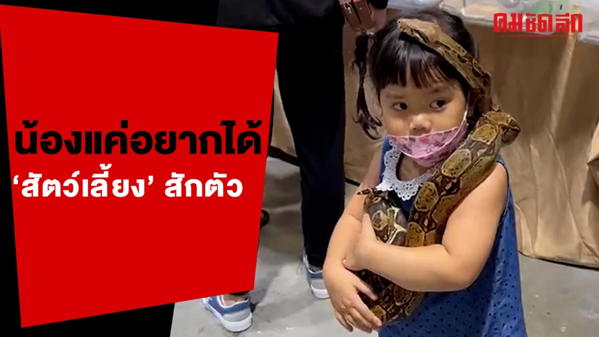 (คลิป) น้องแค่อยากได้ 'สัตว์เลี้ยง' สักตัว แต่นก-กระต่าย น้องไม่สนค่ะพ่อ (คลิป) น้องแค่อยากได้ 'สัตว์เลี้ยง' สักตัว แต่นก-กระต่าย น้องไม่สนค่ะพ่อ
