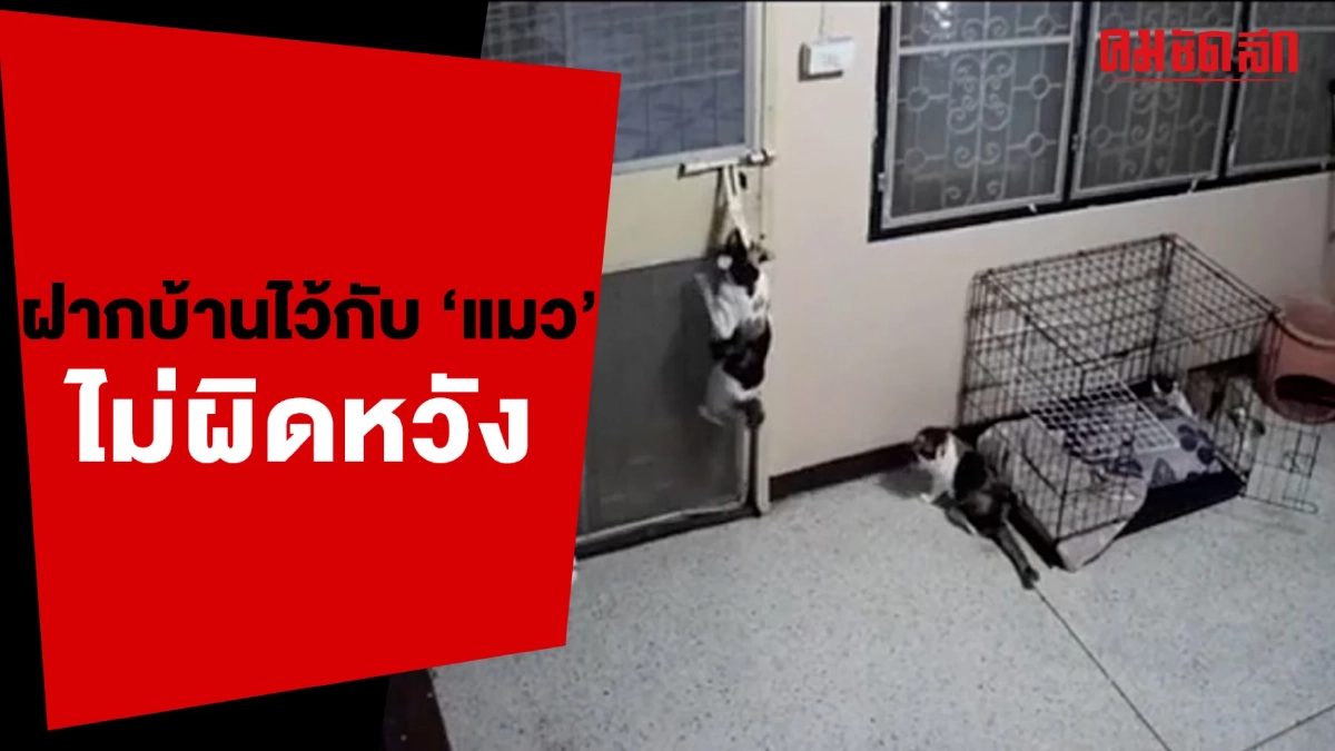 (คลิป) ดึกแล้ว ต้องล็อกประตูนะป้า เดี๋ยวขโมยเข้าบ้าน (คลิป) ดึกแล้ว ต้องล็อกประตูนะป้า เดี๋ยวขโมยเข้าบ้าน