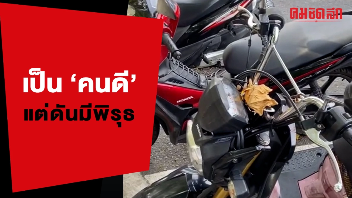 (คลิป) เจ้าของมอไซค์รู้ยัง คนนี้ไง เอา 'ใบไม้' มาซุกใส่รถไว้ (คลิป) เจ้าของมอไซค์รู้ยัง คนนี้ไง เอา 'ใบไม้' มาซุกใส่รถไว้