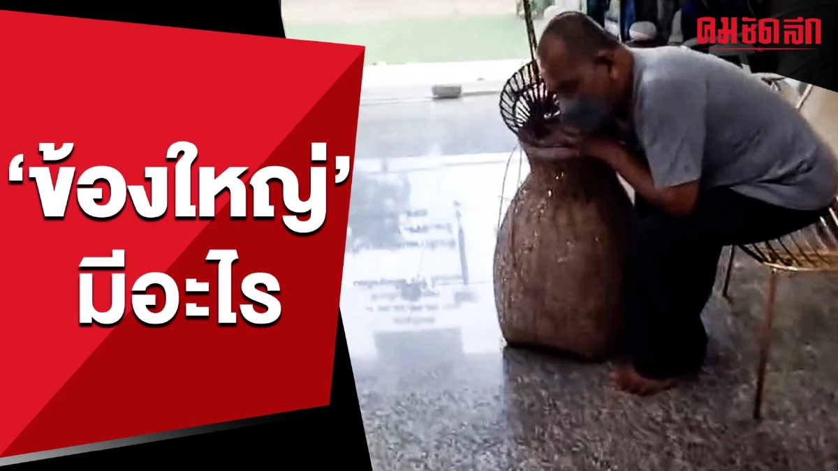 (คลิป) ลุ้นไปพร้อมๆ กัน ข้างใน 'ข้องใหญ่' มีอะไร