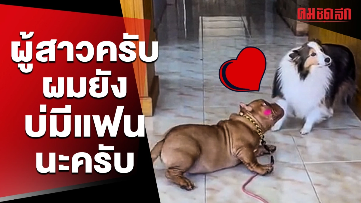 (คลิป) ผู้สาวครับ ผมยังบ่มีแฟนนะครับ ขอจีบได้มั้ย