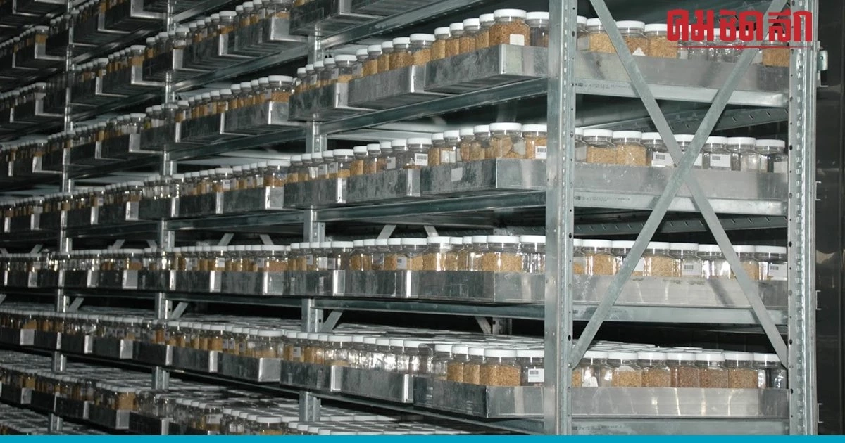 'ธนาคารเชื้อพันธุ์พืช' คุณูปการความมั่นคงทางอาหารไทย