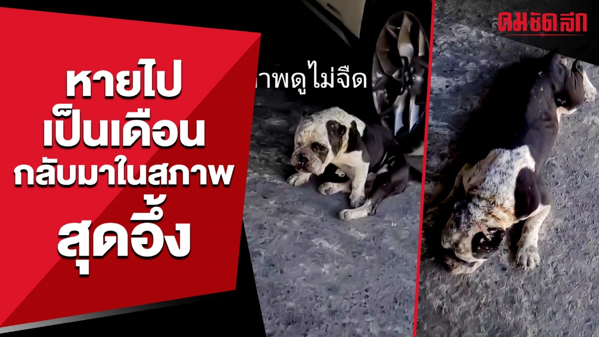 (คลิป) สภาพดูไม่จืด หายไปเป็นเดือน กลับบ้านถูกก็บุญแล้วพ่อ