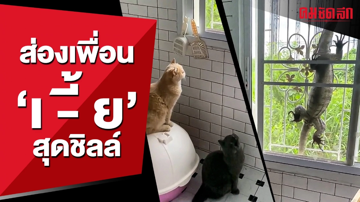(คลิป) ส่องเพื่อน ‘เ -ี้ ย’ สุดชิลล์ แต่เป็นอุทาหรณ์ของแม่