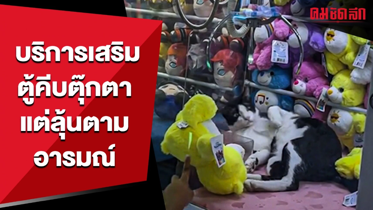(คลิป) บริการเสริมตู้คีบตุ๊กตา แต่ต้องลุ้นตามอารมณ์