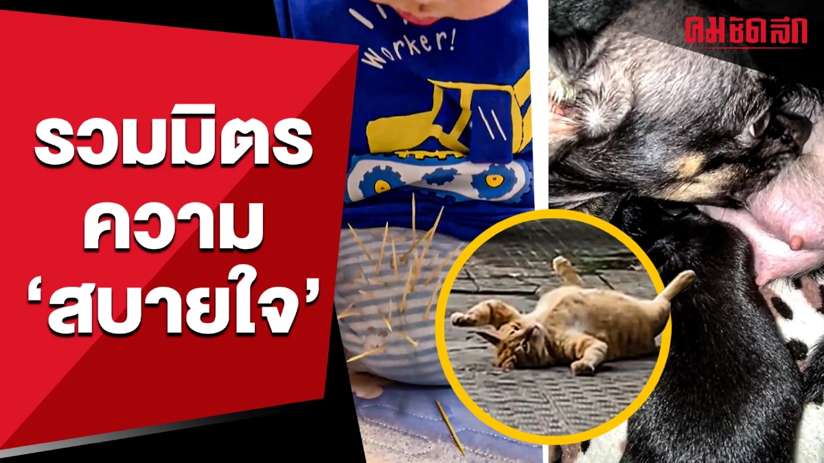 (คลิป) รวมมิตรความ 'สบายใจ' มีใครให้มากกว่านี้มั้ย