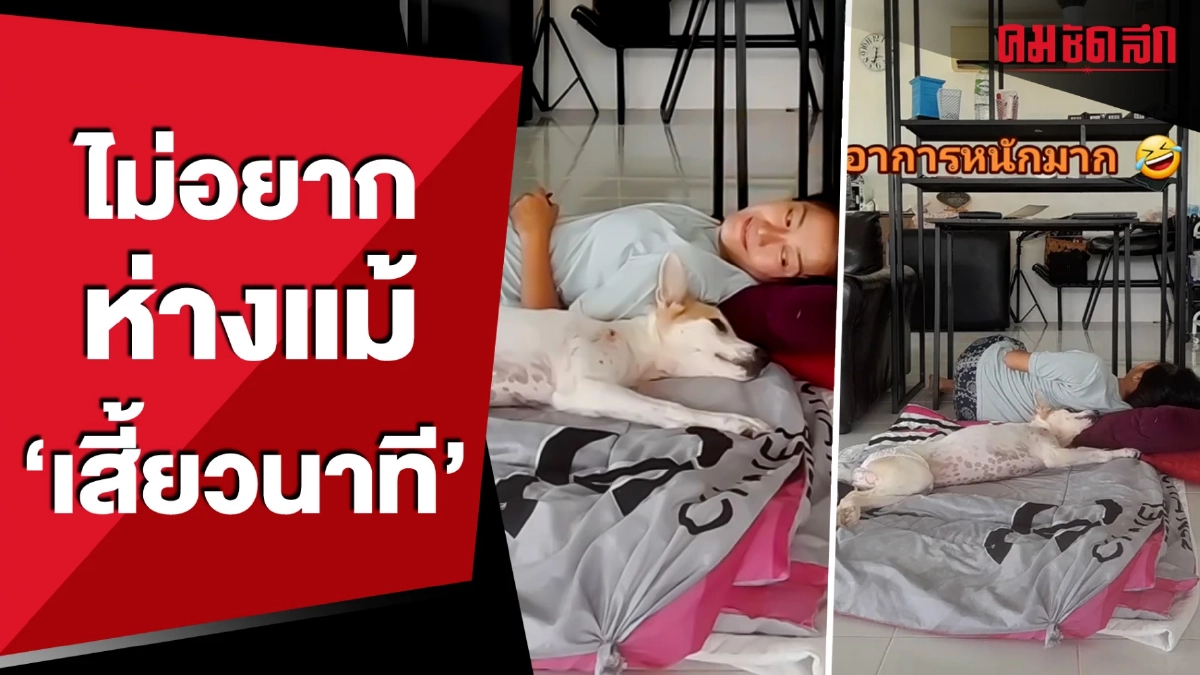 (คลิป) ติดแม่หนักมาก 'น้องหมา' ไม่อยากห่างแม้ 'เสี้ยวนาที'