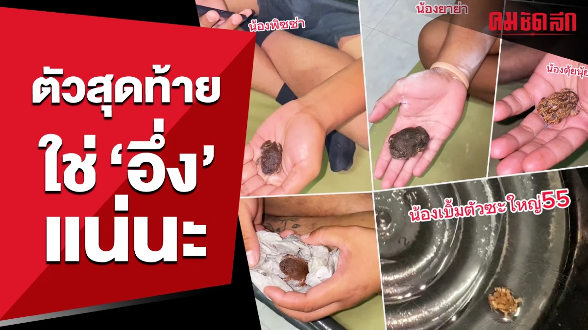 (คลิป) สุดคิ้วท์สัตว์เลี้ยง 'พลทหาร' ตัวสุดท้ายสู้ชีวิตมาก (คลิป) สุดคิ้วท์สัตว์เลี้ยง 'พลทหาร' ตัวสุดท้ายสู้ชีวิตมาก