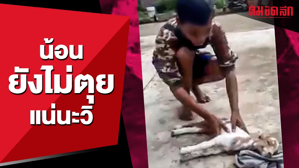 (คลิป) สัตว์แบบนี้ก็มี 'แพะตัวแข็งทือ' แต่น้องยังไม่ตุยแน่นะวิ (คลิป) สัตว์แบบนี้ก็มี 'แพะตัวแข็งทือ' แต่น้องยังไม่ตุยแน่นะวิ