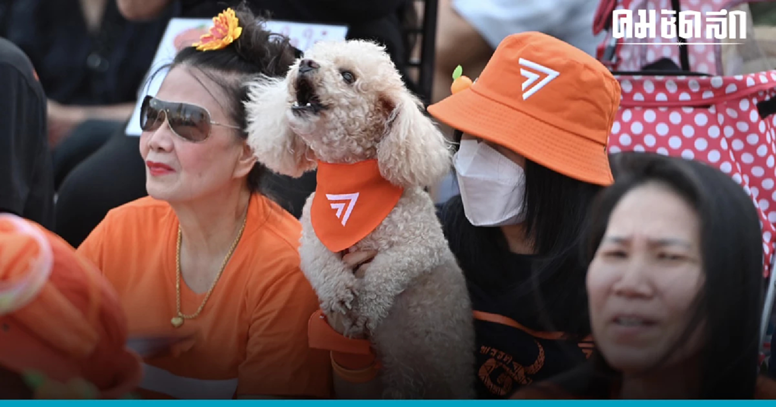 19 กรกฎา วันฌาปนกิจ สว.   - อานนท์ นำภา ขอ 'เพื่อไทย ' อย่าทรยศประชาชน