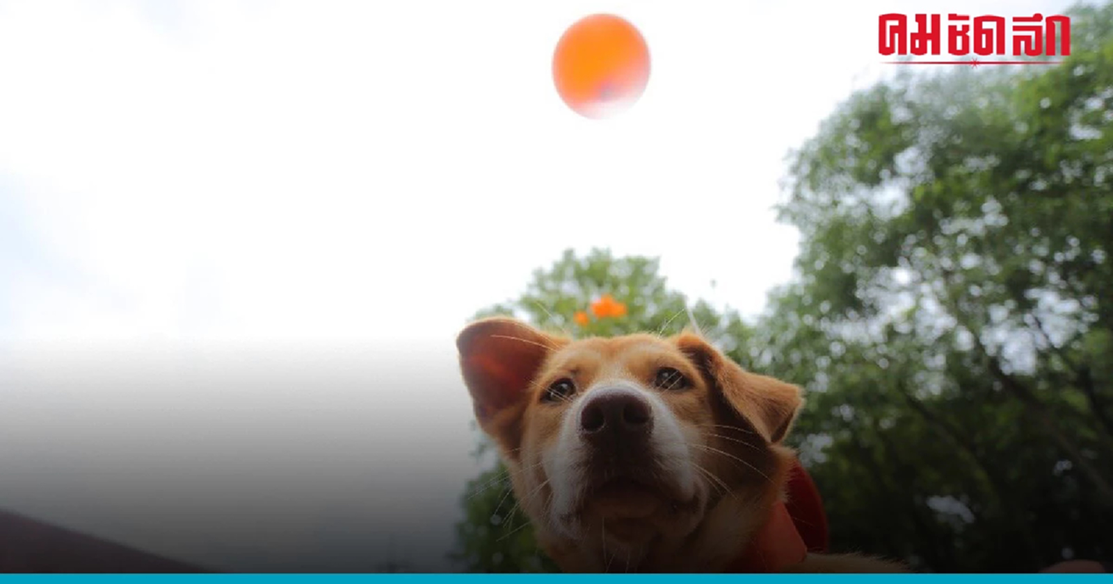 รองเลขาธิการ 'ก้าวไกล' ไม่มีอะไรจะเสีย   เสนอพรรคโนโหวต 'เศรษฐา'