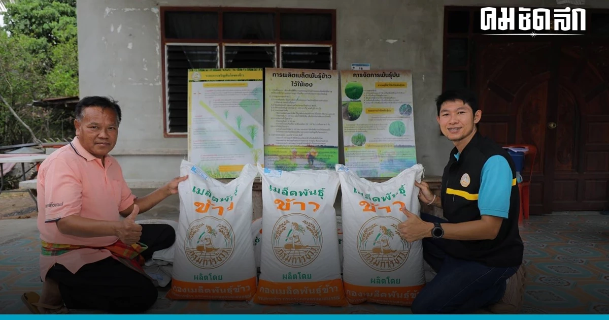 'ศูนย์ข้าวชุมชนบ้านหนองโบสถ์พัฒนา' ชี้โครงการ กรมการข้าว เอื้อลดต้นทุน 'ศูนย์ข้าวชุมชนบ้านหนองโบสถ์พัฒนา' ชี้โครงการ กรมการข้าว เอื้อลดต้นทุน