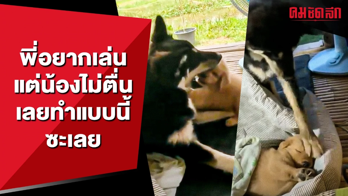 (คลิป) พี่อยากเล่น แต่น้องไม่ตื่น เลยทำแบบนี้ซะเลย