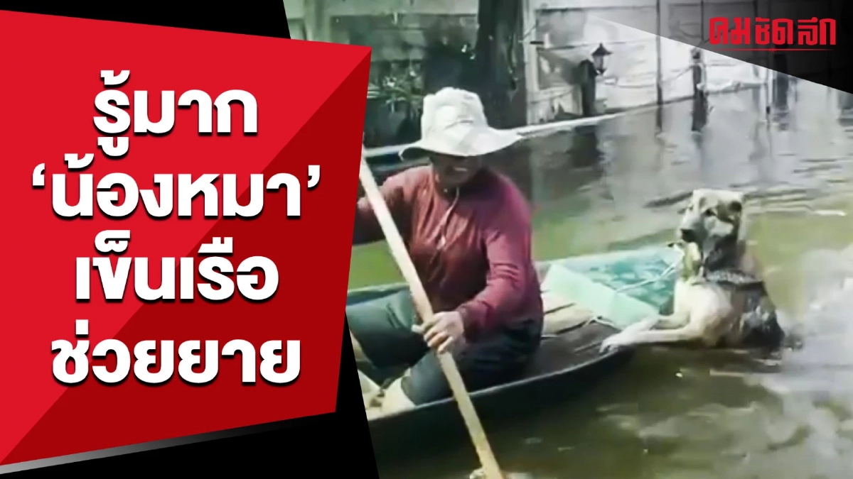(คลิป) รู้มาก 'น้องหมา' เข็นเรือช่วยยาย (คลิป) รู้มาก 'น้องหมา' เข็นเรือช่วยยาย