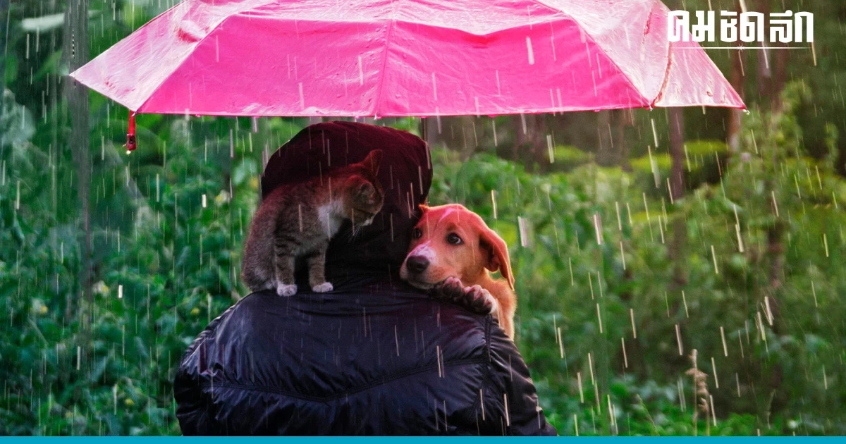 สภาพอากาศวันนี้ "ฝนตกหนัก" หลายจังหวัด ระวังอันตราย น้ำท่วม ทะเลคลื่นมีสูง สภาพอากาศวันนี้ "ฝนตกหนัก" หลายจังหวัด ระวังอันตราย น้ำท่วม ทะเลคลื่นมีสูง