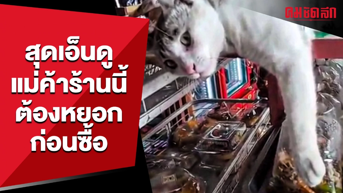 (คลิป) สุดเอ็นดู แม่ค้าร้านนี้ อยากหยอกก่อนขายกับข้าว (คลิป) สุดเอ็นดู แม่ค้าร้านนี้ อยากหยอกก่อนขายกับข้าว