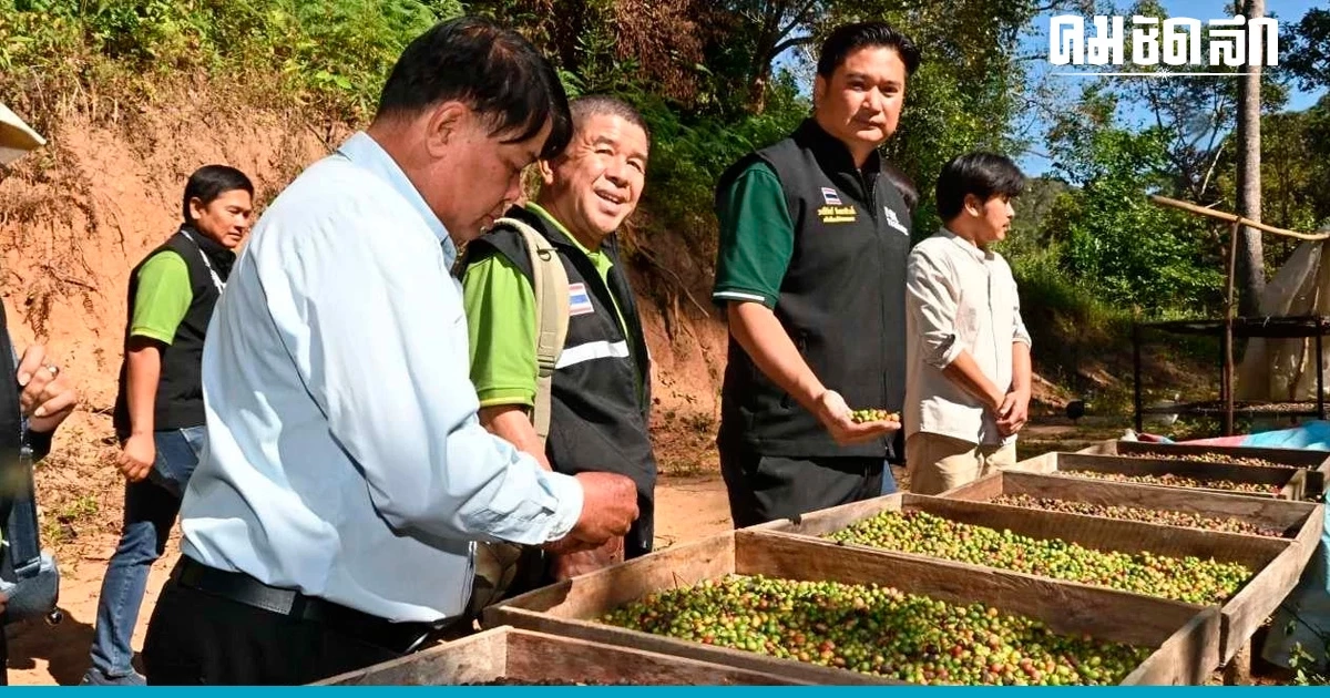 ประกวดสุดยอดกาแฟปี 66 สร้างอนาคตกาแฟไทยในเวทีโลก ประกวดสุดยอดกาแฟปี 66 สร้างอนาคตกาแฟไทยในเวทีโลก