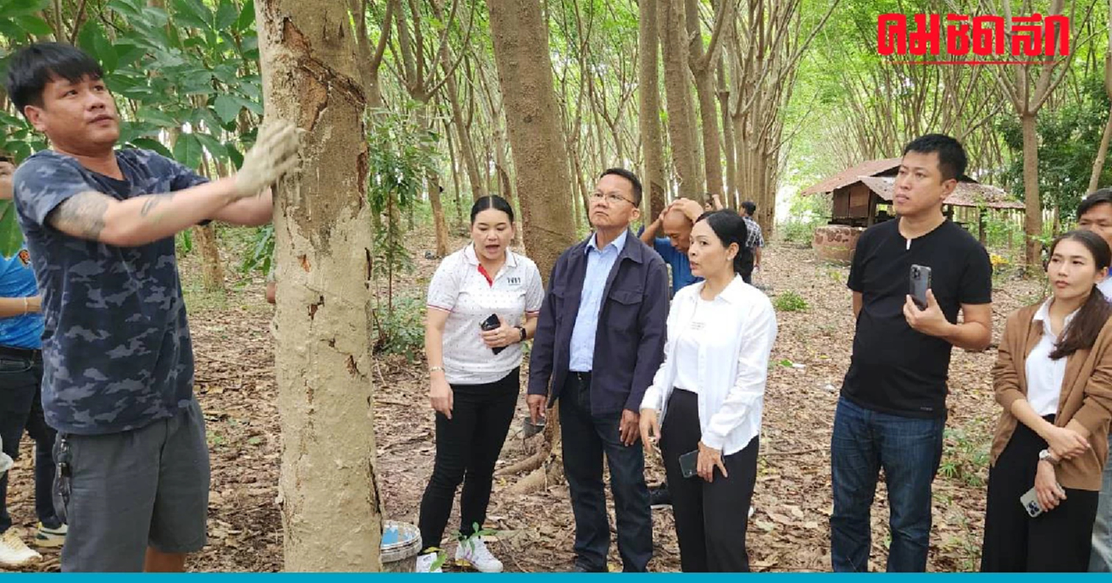 'สส.เพื่อไทย' ลั่นได้ ก.เกษตรฯ ราคา 'ยางพารา' สูงขึ้นเหมือนยุค 'ทักษิณ'