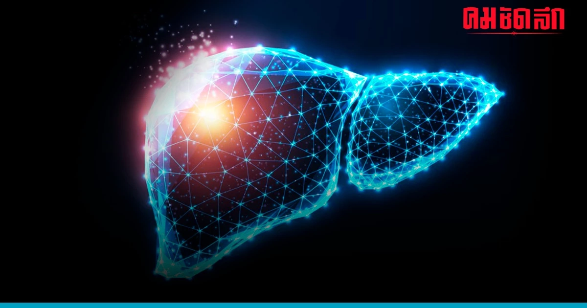 ดูแลสุขภาพ 'ตับ' งดเหล้าเข้าพรรษา ก่อนลุกลามสู่ ภาวะตับแข็ง และมะเร็งตับ ดูแลสุขภาพ 'ตับ' งดเหล้าเข้าพรรษา ก่อนลุกลามสู่ ภาวะตับแข็ง และมะเร็งตับ